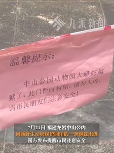 福建龙岩一野生动物保护园内大蟒蛇越狱