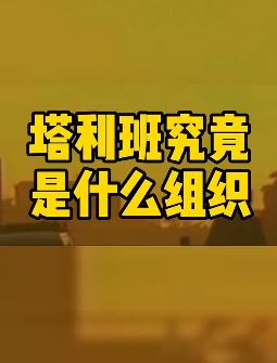 塔利班究竟是什么组织，看完这个视频你就明白了！