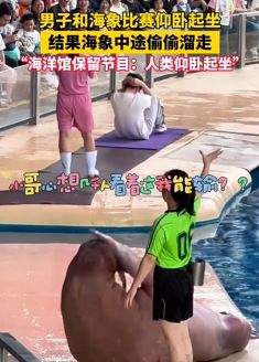 男子和海象pk仰卧起坐 海象中途偷偷溜走