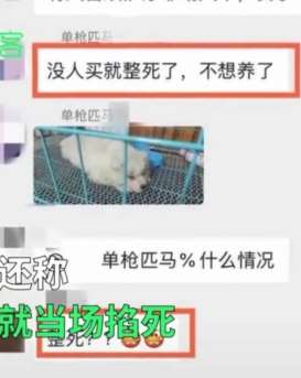 自贡一男子拍虐狗视频 称没人买就弄死！