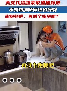 美女找跑腿来家里抓蟑螂 孰料跑腿也怕蟑螂