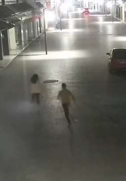 四川一男子深夜尾随年轻女子抢劫被附近居民吓跑