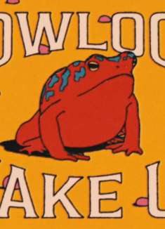 穿透每一个大脑，从一只蟾蜍开始