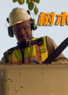 紧急呼救：园艺工人在修剪树木时，竟遭到了阻拦！