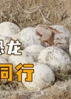 小恐龙从小体质弱，经常被同伴欺负，看它是如何逆袭的