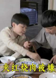 农村儿子进城投奔老爹，后妈做红烧肉招待他，给他夹肉却被嫌弃！