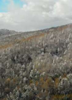 喀尔巴阡山脉：美艳动人，让人惊叹