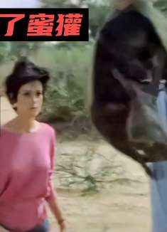 男人踩到了蜜獾，不服就干的蜜獾开始了复仇，最后很暖心。