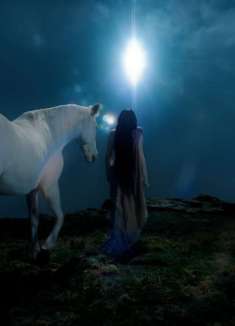 光影斑驳，无限伤感的森林女巫