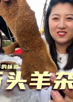 河北大姐在市场卖羊杂碎，每天就卖3小时，尝尝啥味道