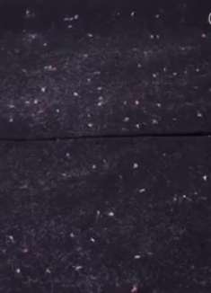 衣服会沾毛怎么办，教你一个办法轻松去掉，而且不再粘