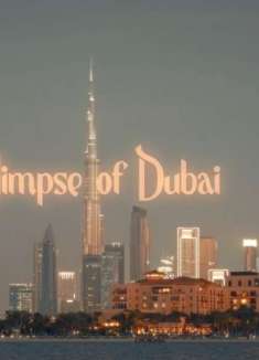 沙漠里的纸醉金迷，感受野生的生命力