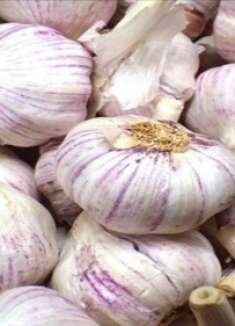 原来大蒜保存很简单，放半年都不干瘪不发芽，快来看看吧