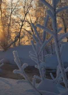 挪威北极景观：冰天雪地，让人惊叹