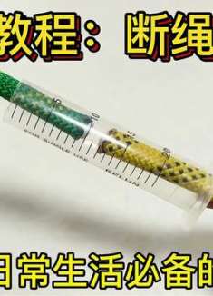 编绳打结教程：断绳快速连接，安全简单又牢靠！收藏起来