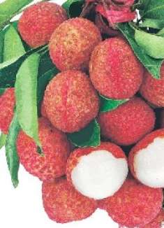 挑选荔枝只需记死这6点，保证个个汁甜味美，难怪以前买的不好吃