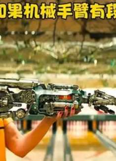 如果机械手臂有段位，你觉得哪个更厉害