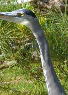 西雅图花园：感受非凡的异域美景