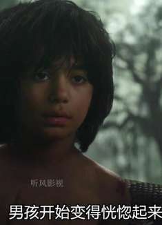 棕熊从巨蟒口中救下男孩，为了报恩，帮助棕熊摘取蜂蜜