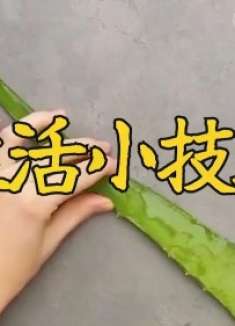 分享日常几个实用小技巧，简单实用