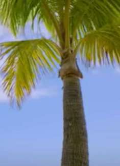 海滩场景：感受不一样的太平洋美景