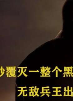 16秒覆灭一个黑帮，退役特种兵被迫出山，以暴制暴强势镇压匪乱