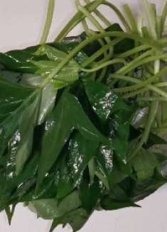 红薯叶有人焯水，有人直接炒，都不对，教您正确做法，翠绿爽口