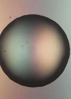 你的眼泪，好美