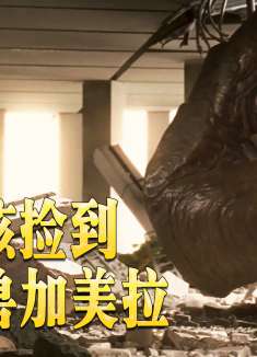 男孩养了一只小乌龟，结果变成了怪兽加美拉