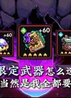 限定武器怎么选？当然是我全都要