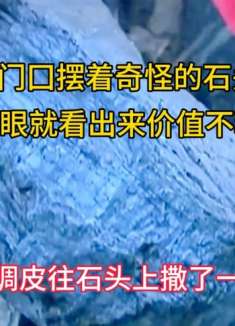 影视 农村门口摆着奇怪的石头 大爷一眼就看出它价值不菲