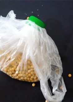 塑料瓶本来都扔了，多亏网友提醒，捡回来做成这个实用东西