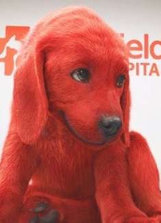 小狗狗变异长满红毛，体型变得比汽车还要大，一口能吞两个人