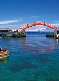 佐助神岛，日本最后一只朱鹮在这里消亡