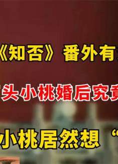 《知否》番外有多搞笑？石头小桃婚后发生了啥，小桃居然想守寡？