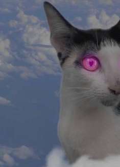 魔性趣味动画，喵星人大战 UFO