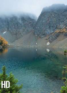 一不小心误入华盛顿仙境