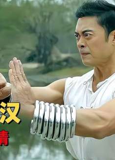 广东十虎铁拳无敌：惨遭小人暗算身中蛊毒，看主角能否化险为夷