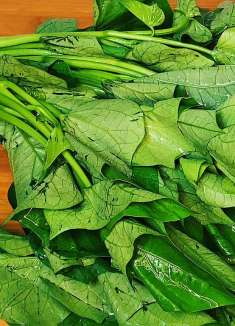 天热多吃红薯叶，教你新做法，不炒不凉拌，鲜嫩翠绿不发黑，解馋