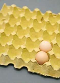 才发现，鸡蛋托盘还是个宝，拿钱难买到，看完回家找找，帮大忙