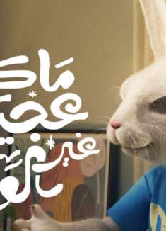 过于魔性，人生不要轻易「打赌」