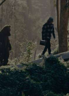 和棕熊成为酒友，慵懒音乐诉说孤独