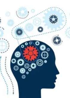 聪明人从不较劲：5个偷懒思维让你的效率翻倍