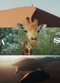 史诗级的美学震撼，沙丘天堂纳米比亚