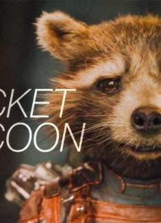 亲爱的浣熊，其实你一直是故事的主角