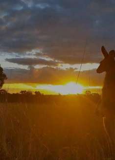 南半球的微醺海风，澳大利亚「大海的心脏」
