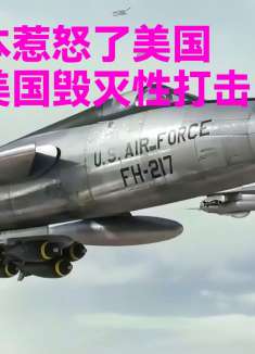 日本惹怒了美国，惨遭美国毁灭性打击，空战电影