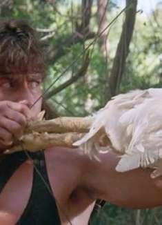 特种兵用光了弓箭，只好抓公鸡来代替，最后团灭了敌军，爆笑喜剧