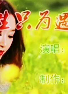 《今生只为遇见你》，你觉得好听吗