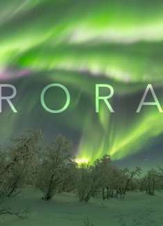 一抹极致之绿：5 分钟「舞动的宇宙」